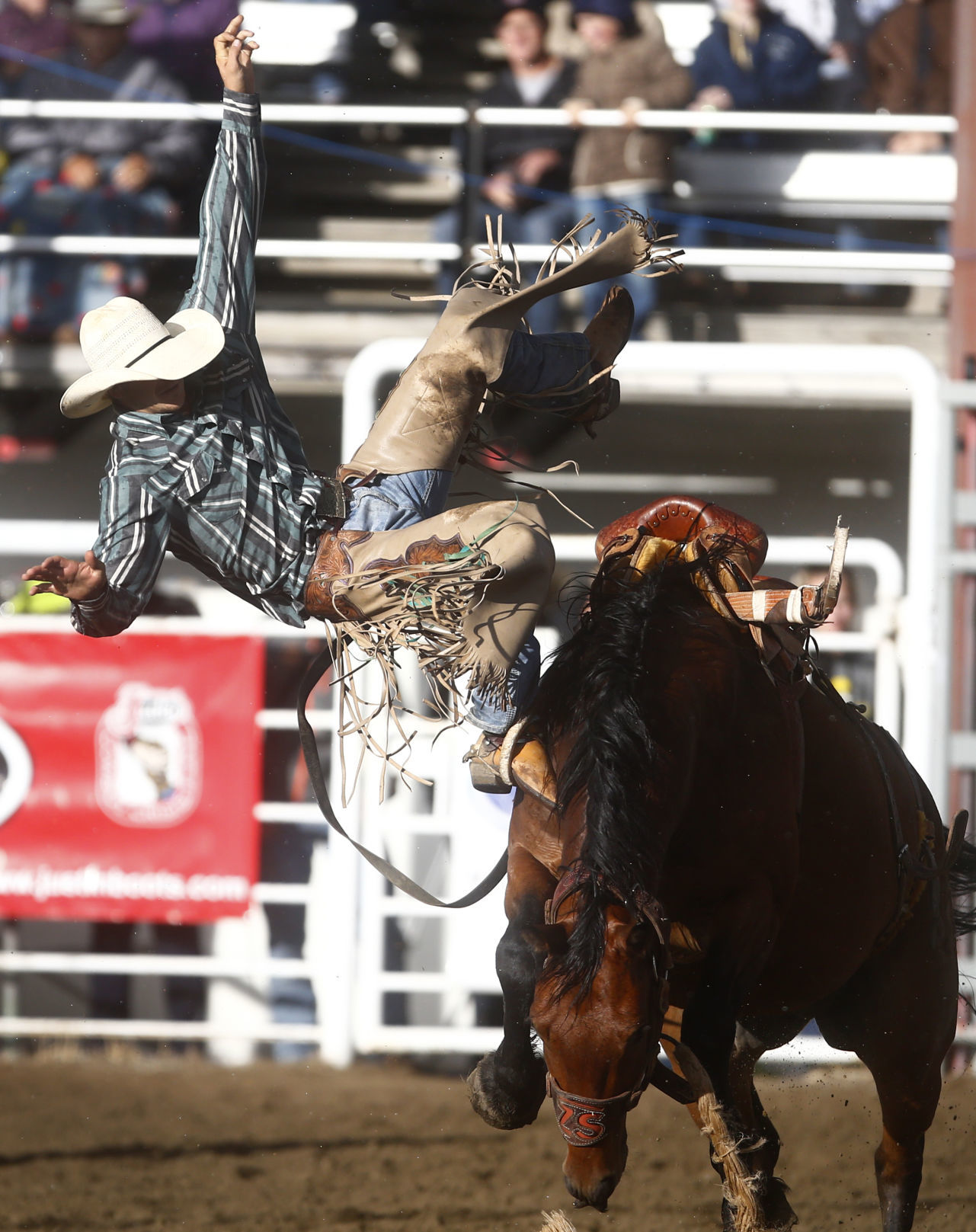 Home of Champions Rodeo